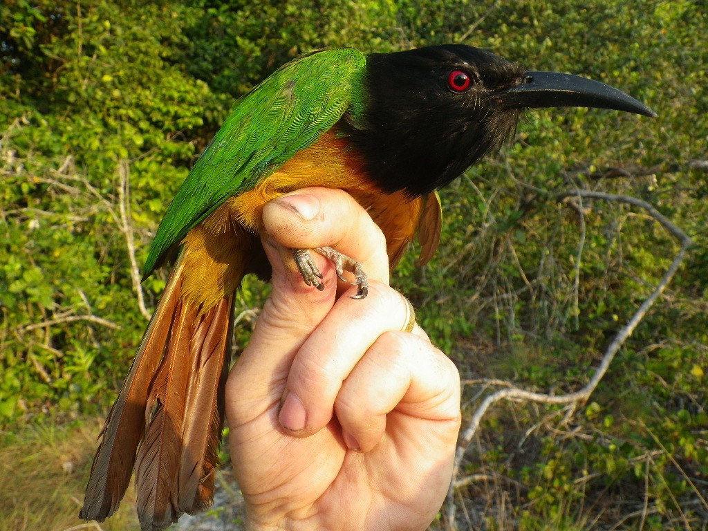 Click here for a gallery of tour pics Click here for a gallery of tour pics